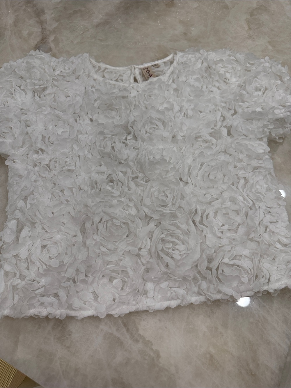 Like new Dolan Anthropologie Cream Floral Applique Short-Sleeve Top 22” long - Picture 7 of 9